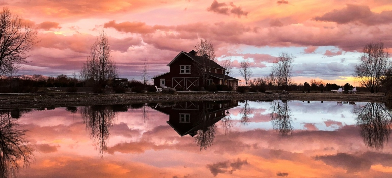 Summer Reflection on a little lake in Eagle, ID, USA