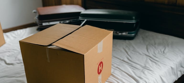 Cardboard box and suitcases for relocation on bed
